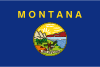 Montana Drapeau
