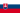 Anc&ecirc;tre Slovak